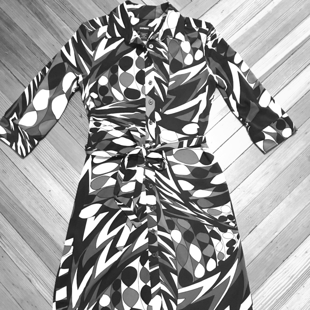 Amazing Vintage Mod Express Button Down Dress - image 1